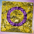 Intersex Pride Waves Bandana